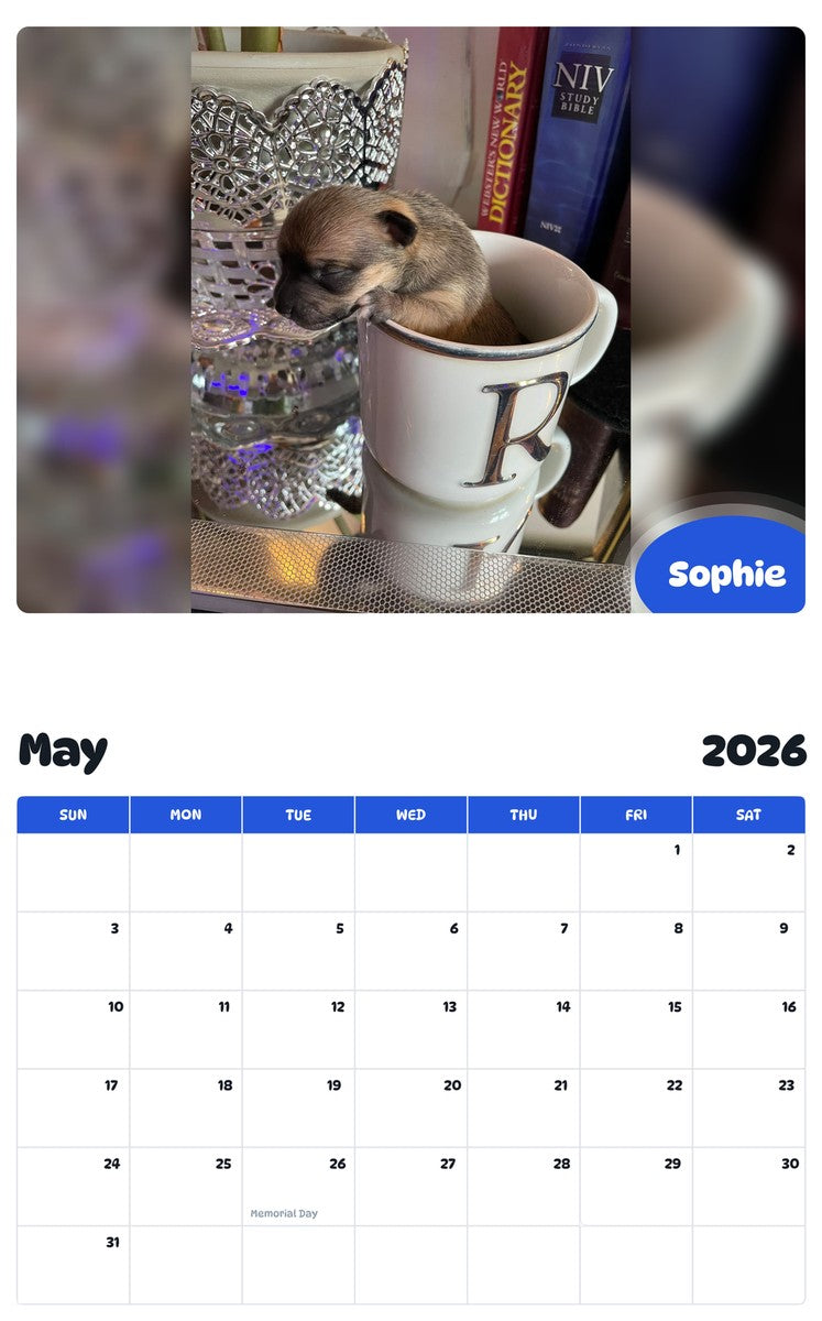 2026 - 2027 Sophie - Pawidols Pet Calendar