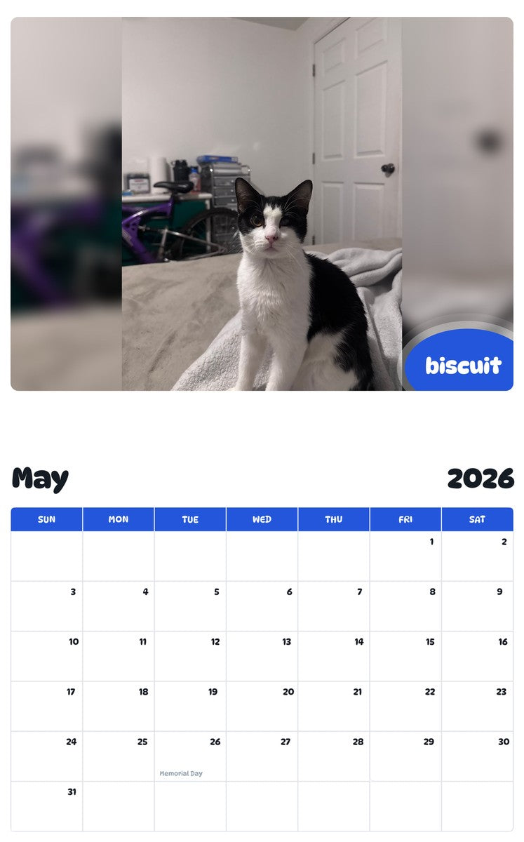2026 - 2027 biscuit - Pawidols Pet Calendar
