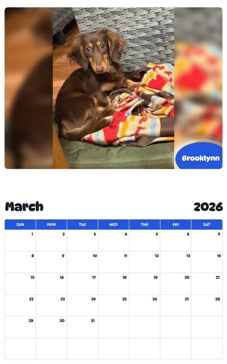 November 2025 - October 2026 Brooklynn - Pawidols Pet Calendar