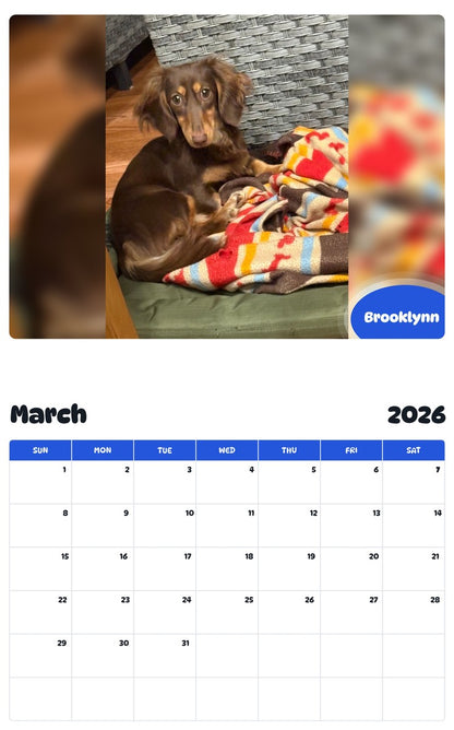 November 2025 - October 2026 Brooklynn - Pawidols Pet Calendar