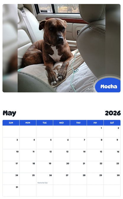2026 - 2027 Mocha - Pawidols Pet Calendar