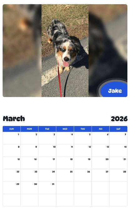 November 2025 - October 2026 Jake - Pawidols Pet Calendar