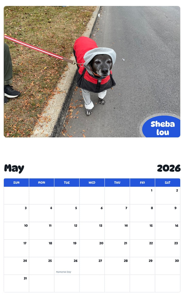 2026 - 2027 Sheba lou - Pawidols Pet Calendar