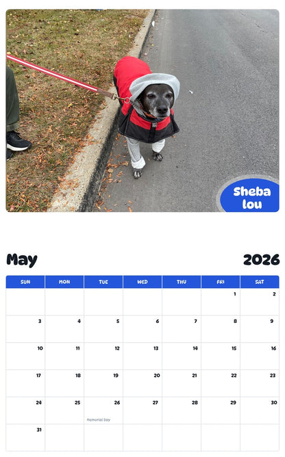2026 - 2027 Sheba lou - Pawidols Pet Calendar