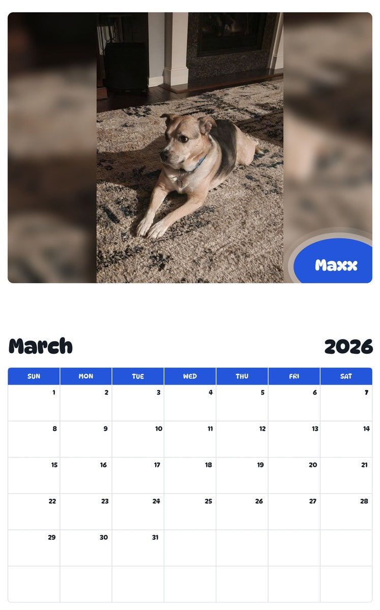 November 2025 - October 2026 Maxx - Pawidols Pet Calendar