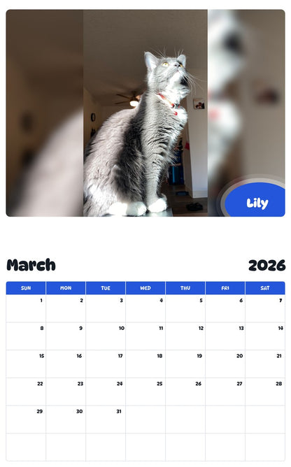 November 2025 - October 2026 Lily - Pawidols Pet Calendar