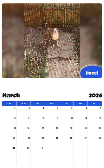 November 2025 - October 2026 Hazel - Pawidols Pet Calendar