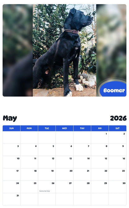 2026 - 2027 Boomer - Pawidols Pet Calendar