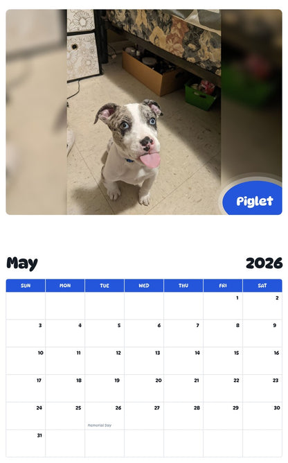 2026 - 2027 Piglet - Pawidols Pet Calendar