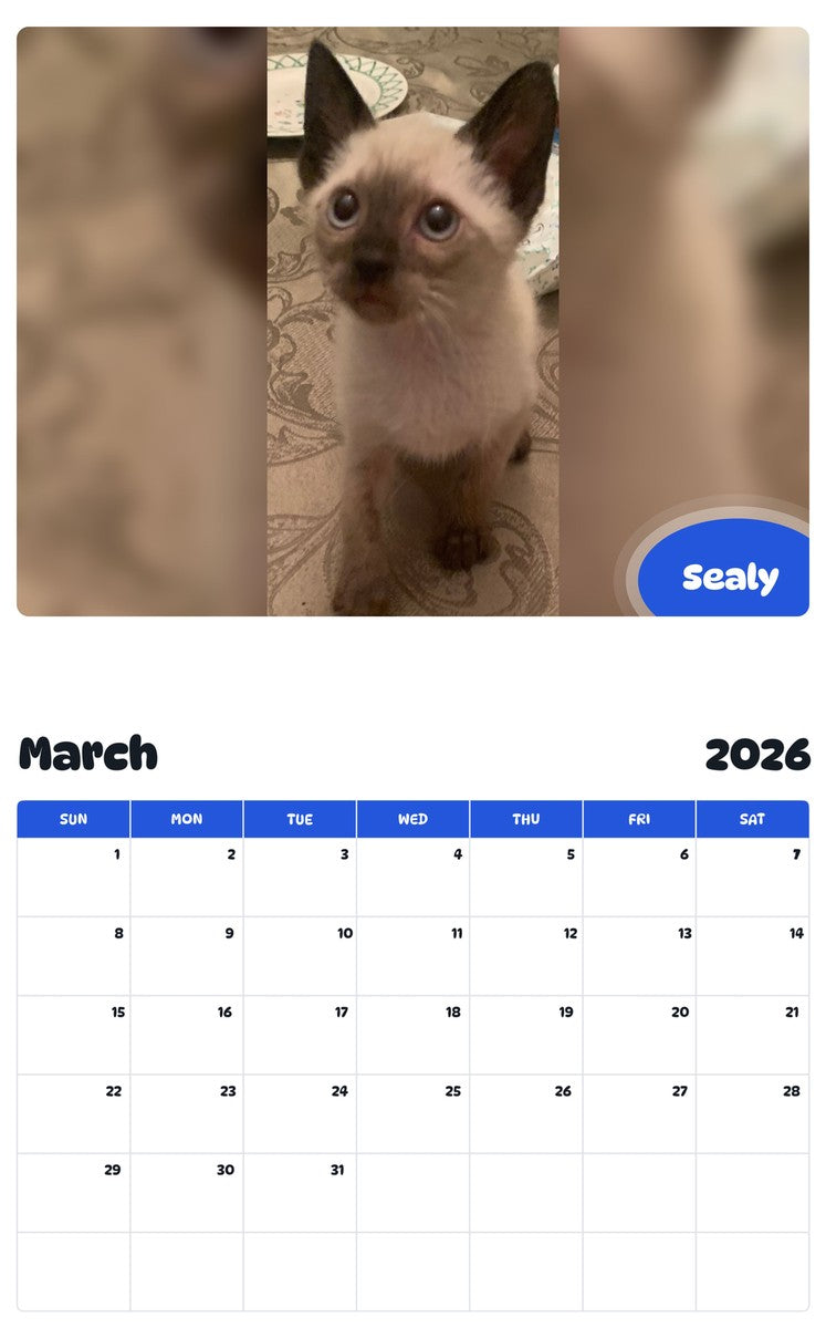 November 2025 - October 2026 Sealy - Pawidols Pet Calendar