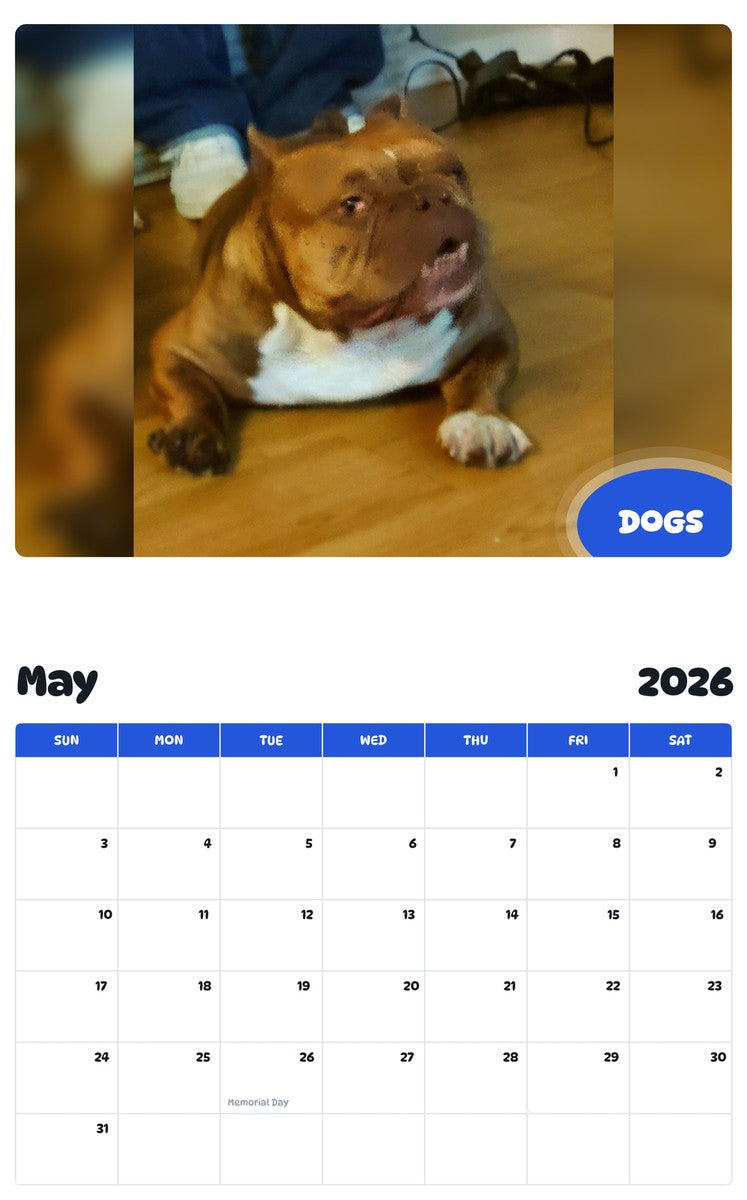 2026 - 2027 DOGS - Pawidols Pet Calendar
