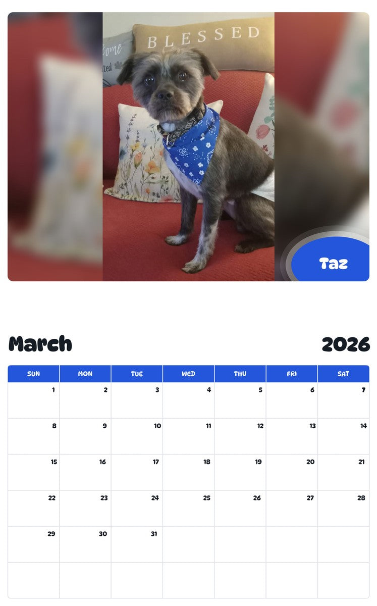 November 2025 - October 2026 Taz - Pawidols Pet Calendar