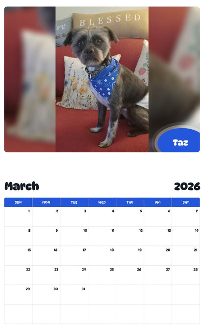 November 2025 - October 2026 Taz - Pawidols Pet Calendar