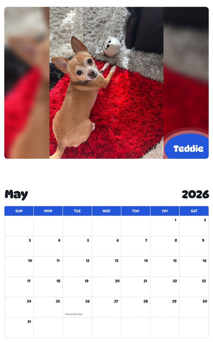 2026 - 2027 Teddie - Pawidols Pet Calendar