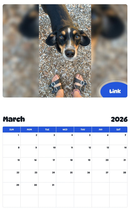 November 2025 - October 2026 Link - Pawidols Pet Calendar