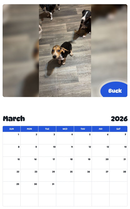 November 2025 - October 2026 Buck - Pawidols Pet Calendar