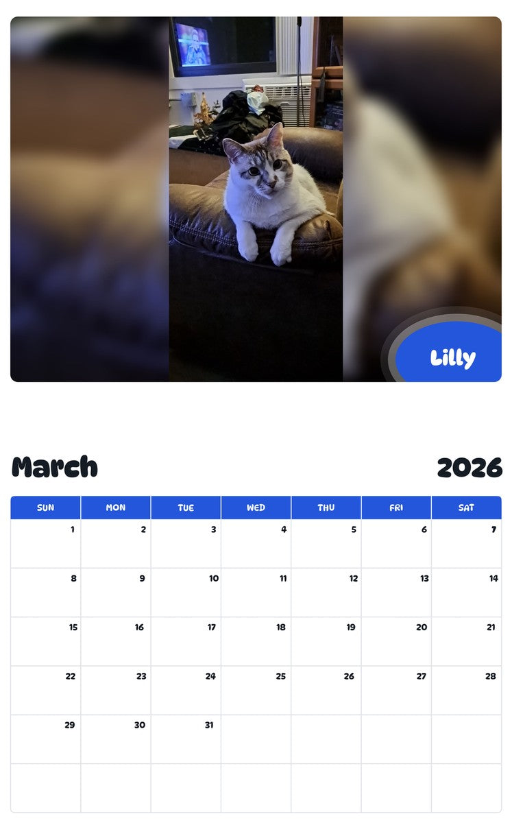 November 2025 - October 2026 Lilly - Pawidols Pet Calendar