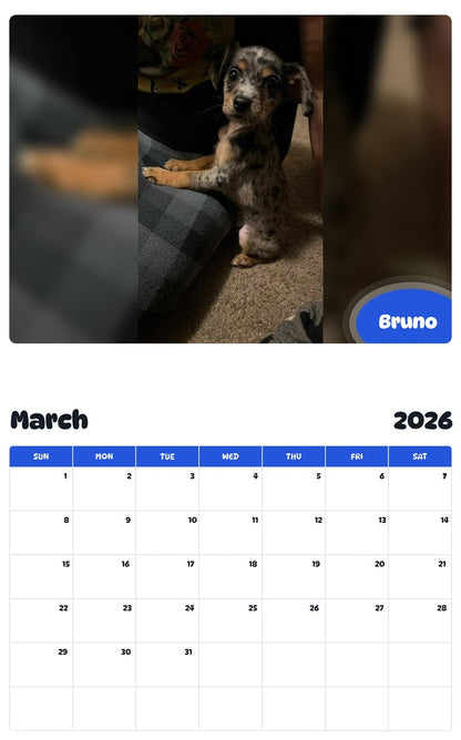 November 2025 - October 2026 Bruno - Pawidols Pet Calendar