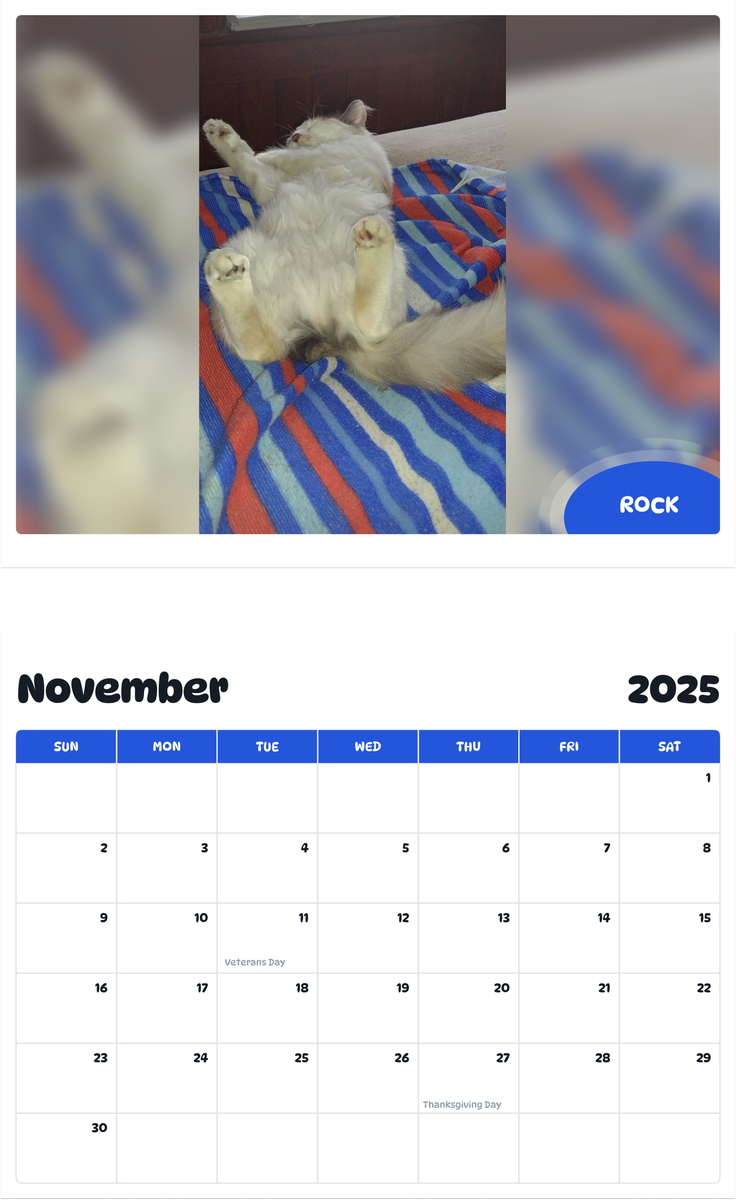 July 2025 - June 2026 Rock - Pawidols Pet Calendar