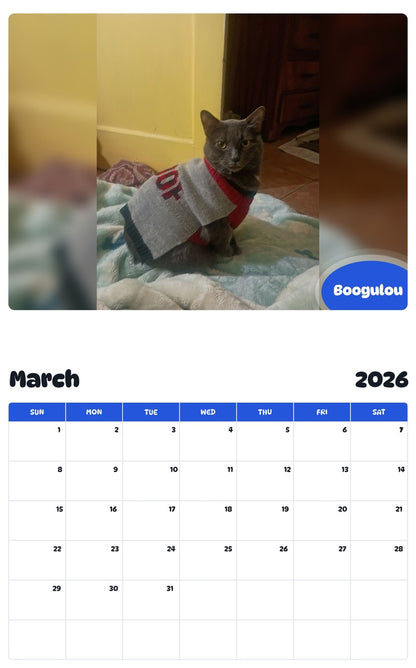November 2025 - October 2026 Boogulou - Pawidols Pet Calendar