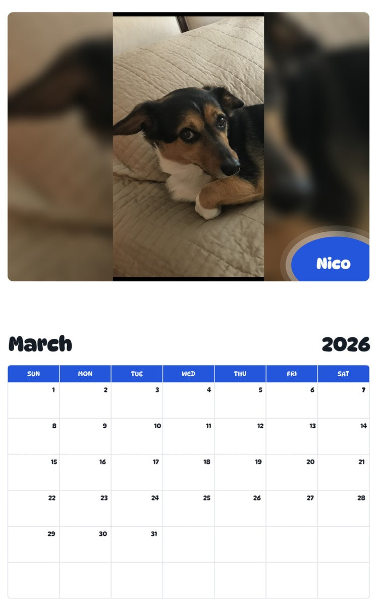 November 2025 - October 2026 Nico - Pawidols Pet Calendar
