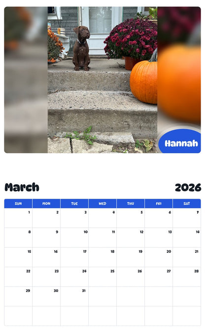 November 2025 - October 2026 Hannah - Pawidols Pet Calendar