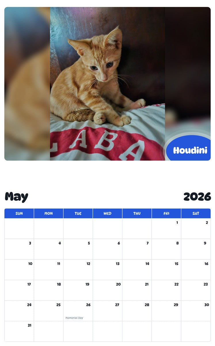 2026 - 2027 Houdini - Pawidols Pet Calendar