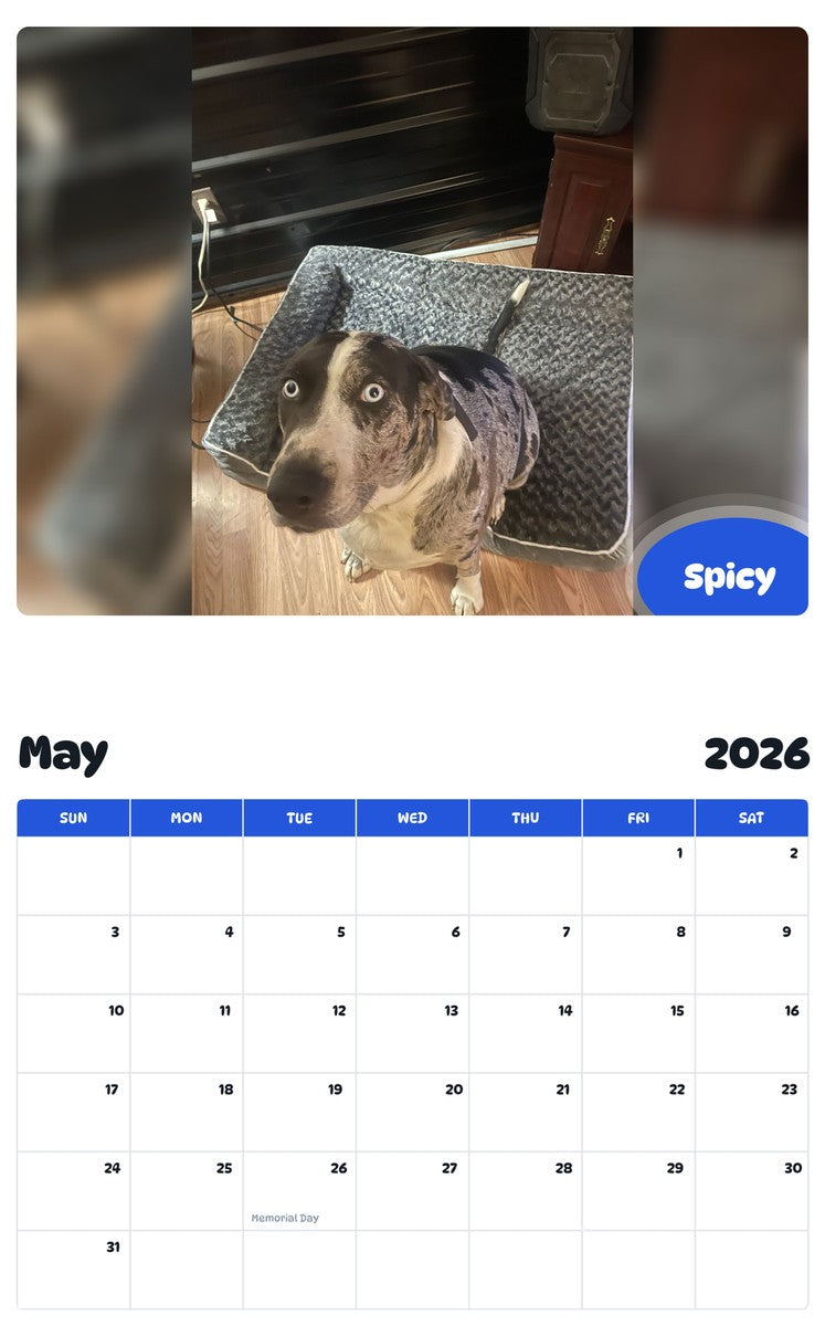 2026 - 2027 Spicy - Pawidols Pet Calendar