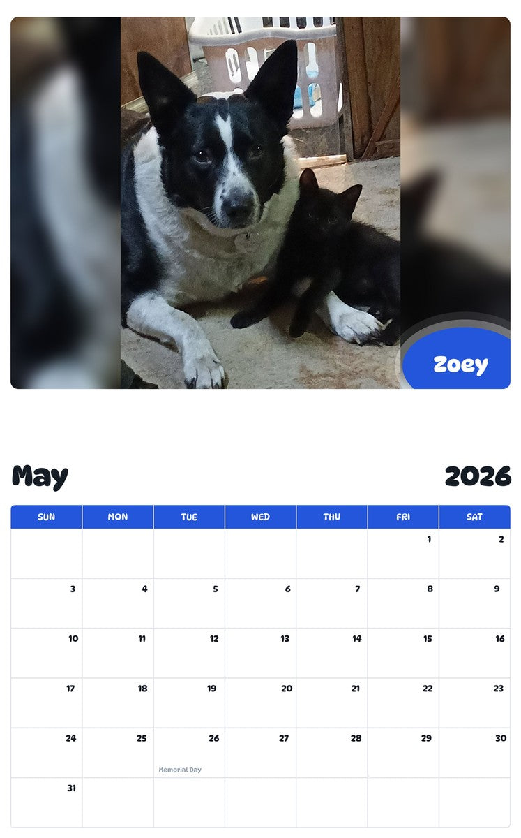 2026 - 2027 Zoey - Pawidols Pet Calendar
