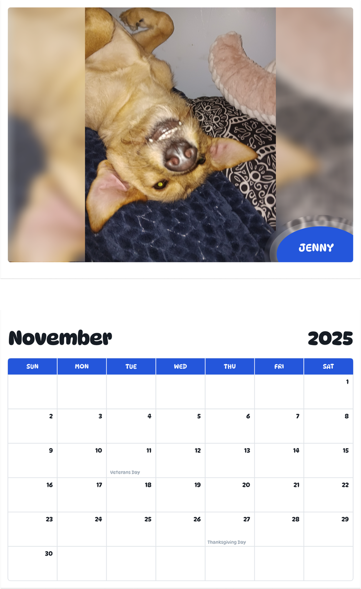 July 2025 - June 2026 Jenny - Pawidols Pet Calendar