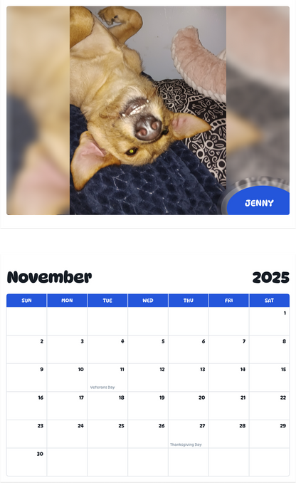 July 2025 - June 2026 Jenny - Pawidols Pet Calendar