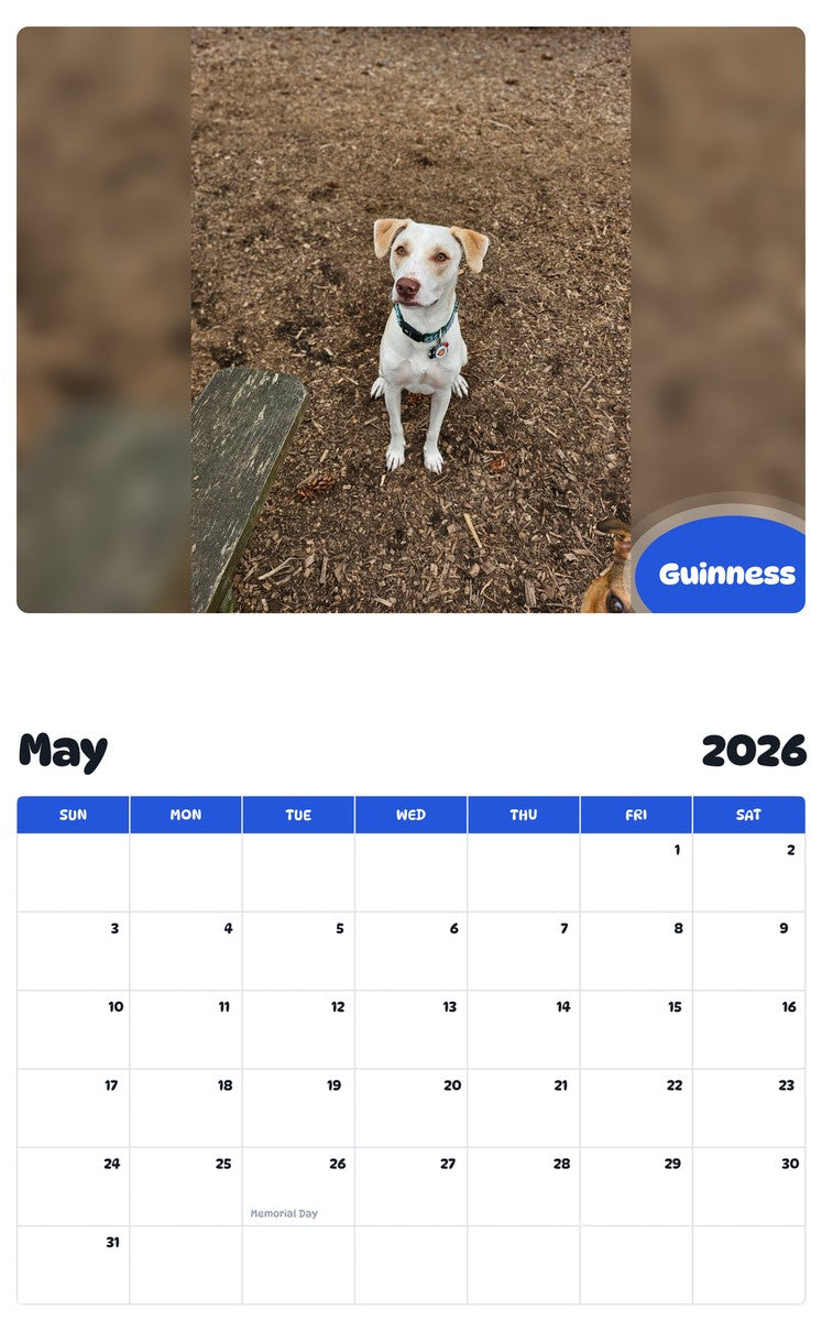 2026 - 2027 Guinness - Pawidols Pet Calendar
