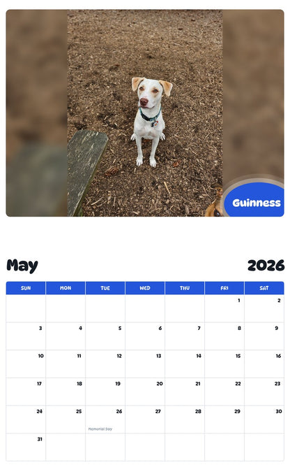 2026 - 2027 Guinness - Pawidols Pet Calendar