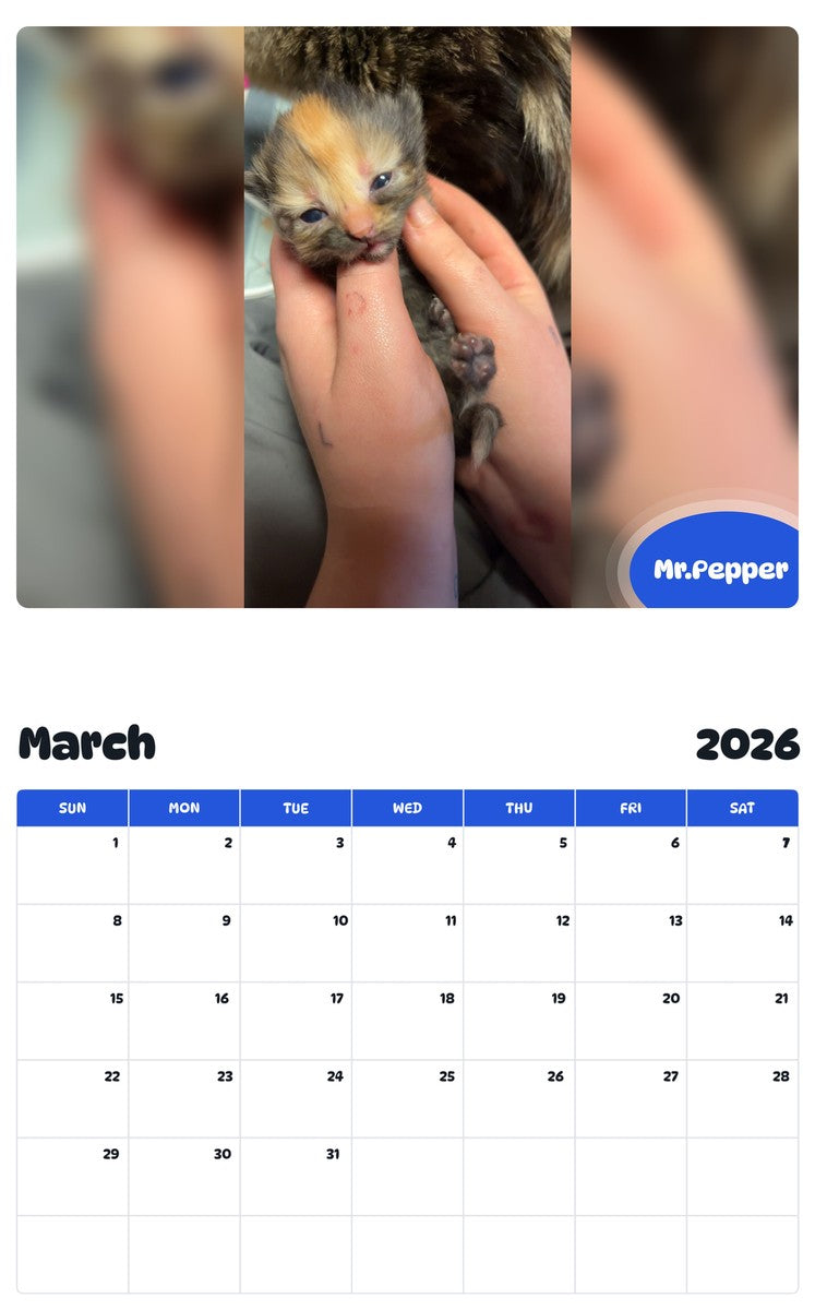 November 2025 - October 2026 Mr.Pepper - Pawidols Pet Calendar