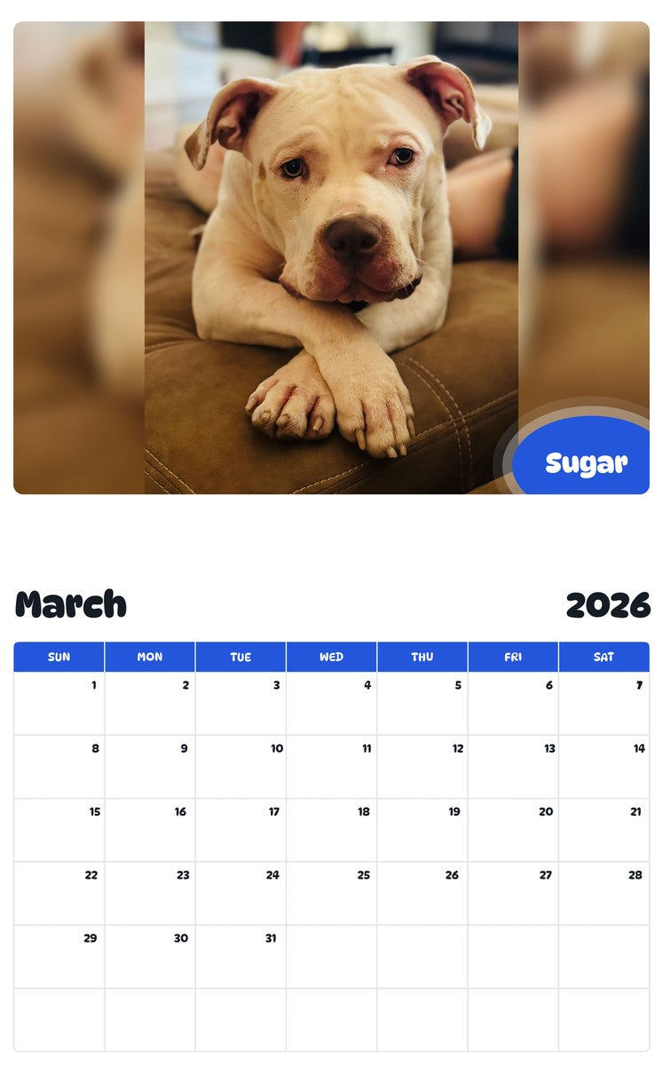 November 2025 - October 2026 Sugar - Pawidols Pet Calendar