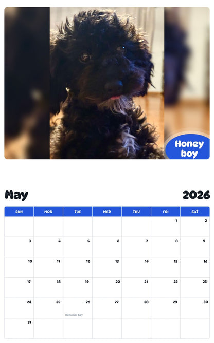 2026 - 2027 Honey boy - Pawidols Pet Calendar