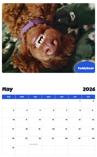 2026 - 2027 Teddybear - Pawidols Pet Calendar