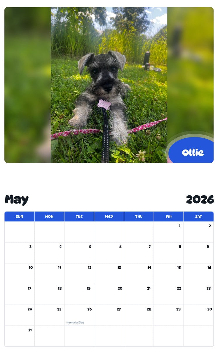 2026 - 2027 Ollie - Pawidols Pet Calendar