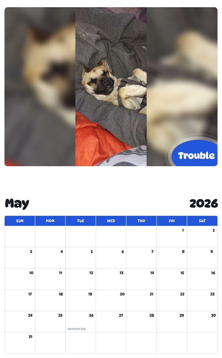 2026 - 2027 Trouble - Pawidols Pet Calendar