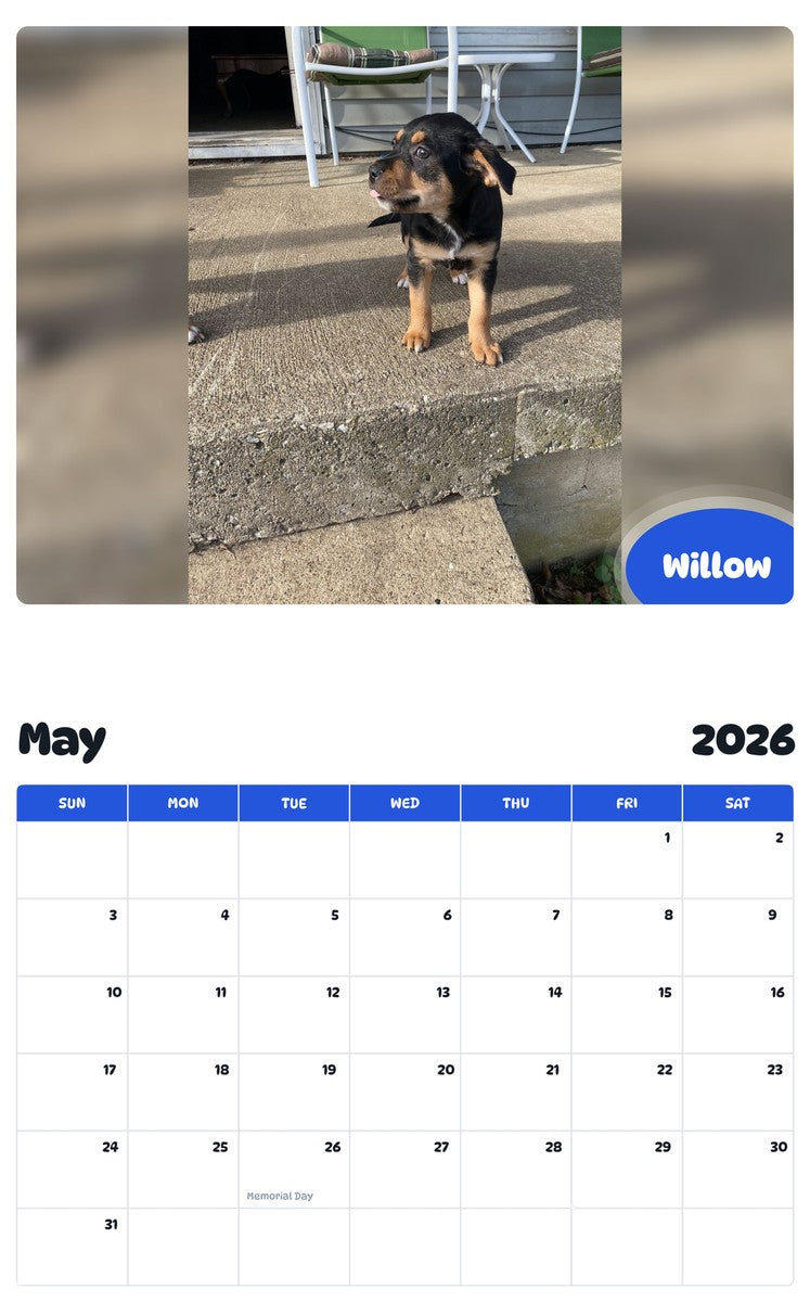 2026 - 2027 Willow - Pawidols Pet Calendar