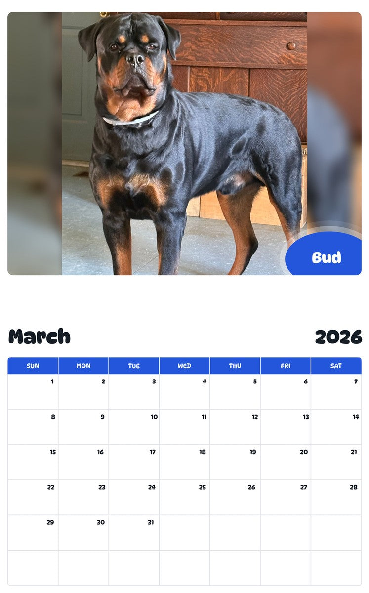 November 2025 - October 2026 Bud - Pawidols Pet Calendar