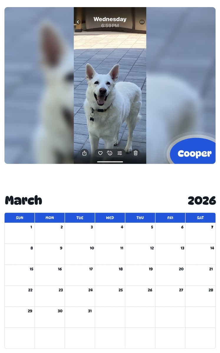 November 2025 - October 2026 Cooper - Pawidols Pet Calendar