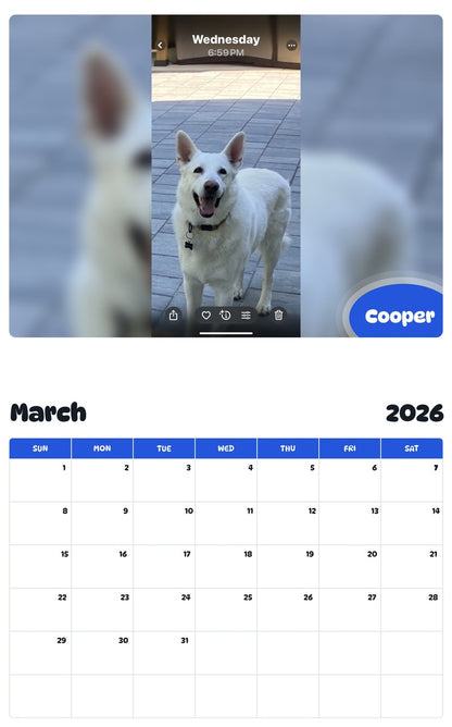 November 2025 - October 2026 Cooper - Pawidols Pet Calendar