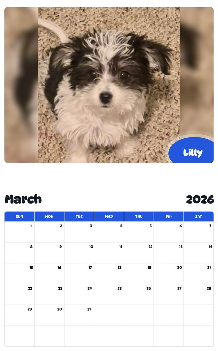 November 2025 - October 2026 Lilly - Pawidols Pet Calendar