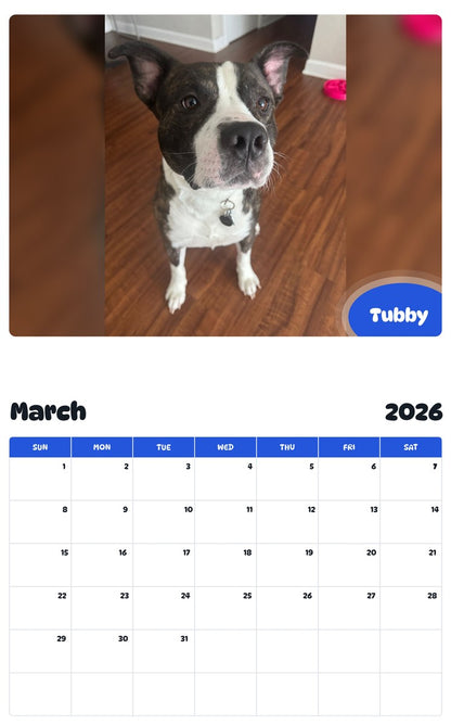 November 2025 - October 2026 Tubby - Pawidols Pet Calendar