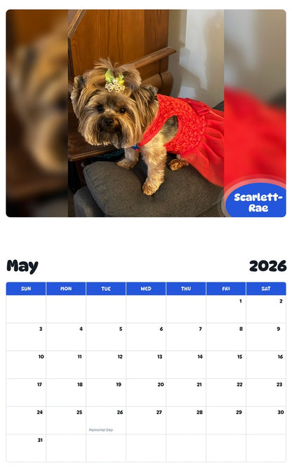2026 - 2027 Scarlett-Rae - Pawidols Pet Calendar