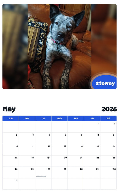 2026 - 2027 Stormy - Pawidols Pet Calendar