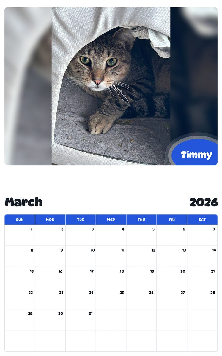 November 2025 - October 2026 Timmy - Pawidols Pet Calendar