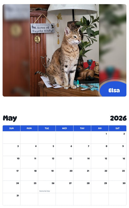 2026 - 2027 Elsa - Pawidols Pet Calendar