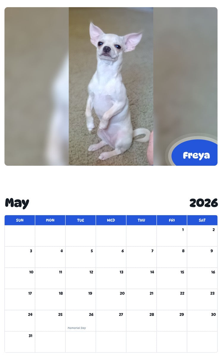 2026 - 2027 Freya - Pawidols Pet Calendar